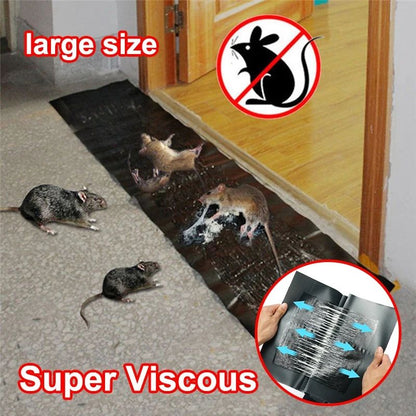 Mouse 🐁 glue trap large size